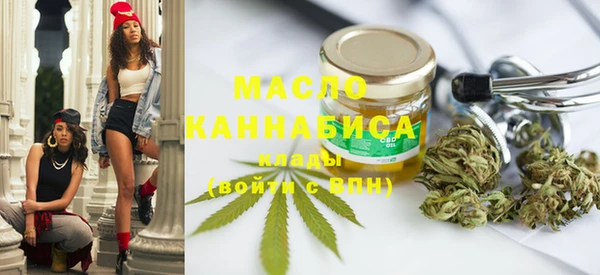 твердый Горняк