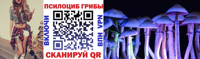 shop наркотические препараты  Невьянск  Псилоцибиновые грибы Cubensis  где купить   kraken вход 